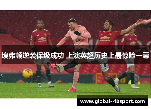 埃弗顿逆袭保级成功 上演英超历史上最惊险一幕